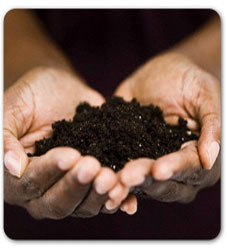 Sustentabilidad